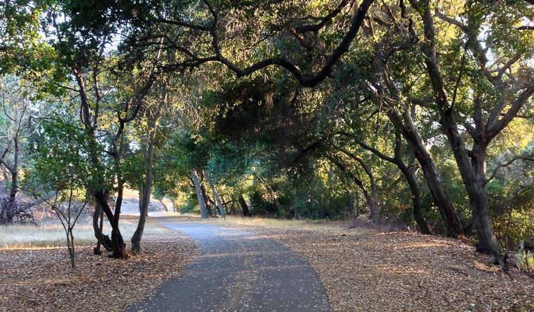 12-27 Friday on Coyote Creek Trail