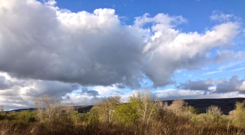 03-07 Clouds Over Coyote Creek Trail