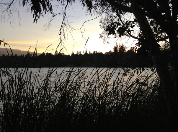 04-22 Sunday Evening Lake Vasona