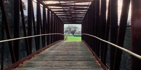 Coyote Creek Trail