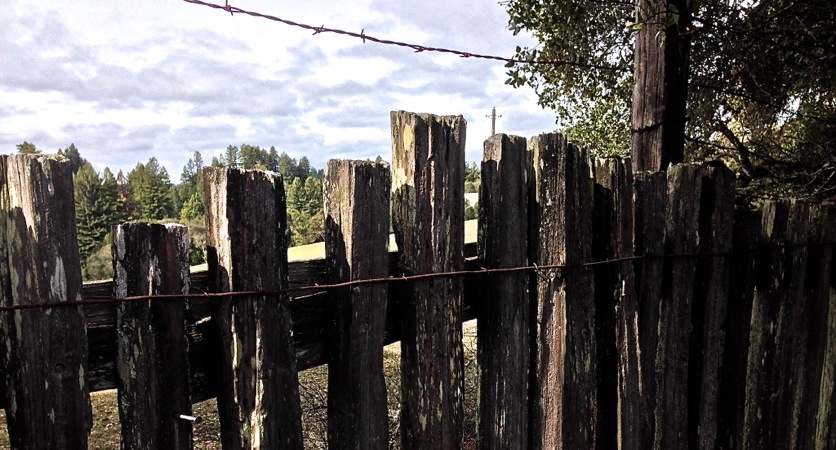 08-22 Fence Posts