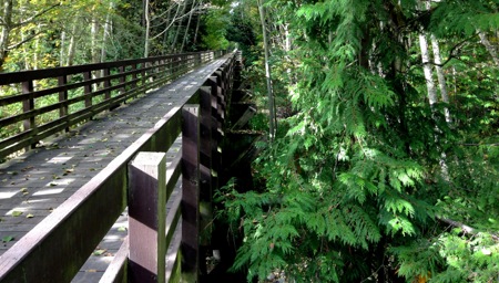 10-21 Dungeness River Bridge