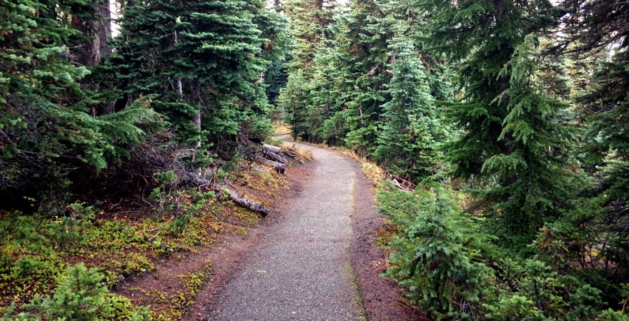 12-26 Mountain Trail